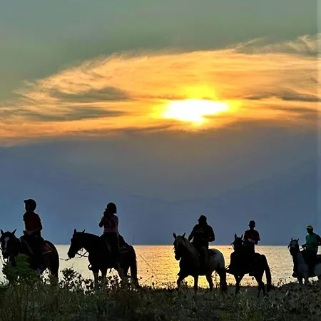 בית הארחה Casabianca Felline