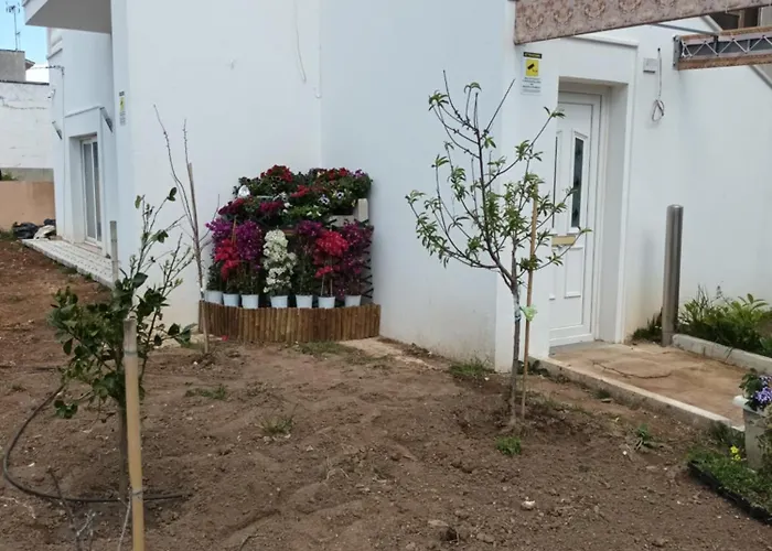 Casabianca ゲストハウス