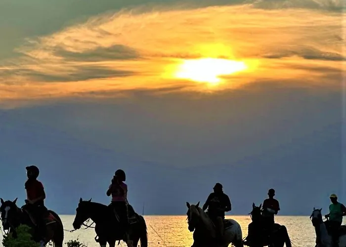 ゲストハウス Casabianca Felline